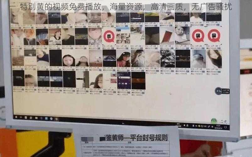 特别黄的视频免费播放,海量资源,高清画质,无广告骚扰
