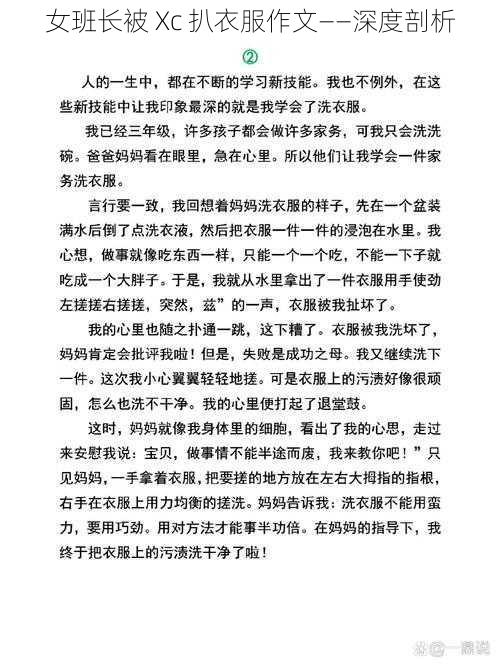 女班长被 Xc 扒衣服作文——深度剖析
