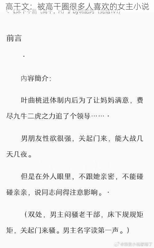 高干文:被高干圈很多人喜欢的女主小说