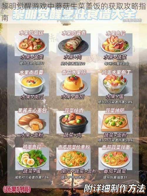 黎明觉醒游戏中蘑菇生菜盖饭的获取攻略指南