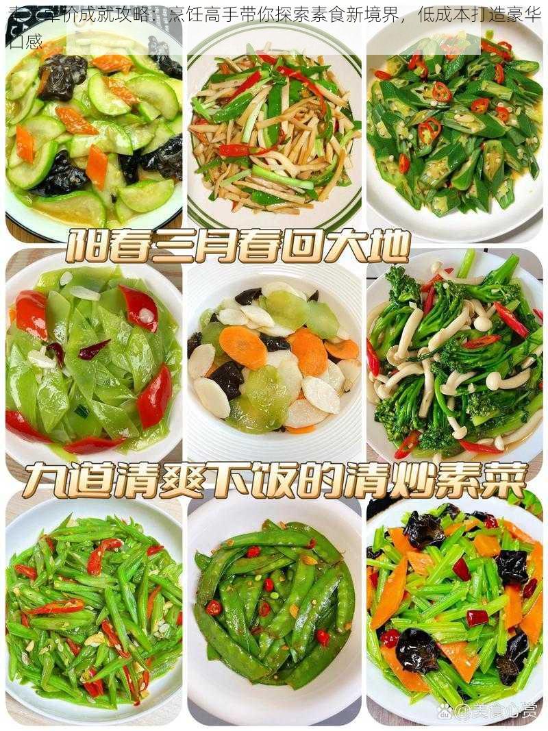素菜荤价成就攻略:烹饪高手带你探索素食新境界,低成本打造豪华口感