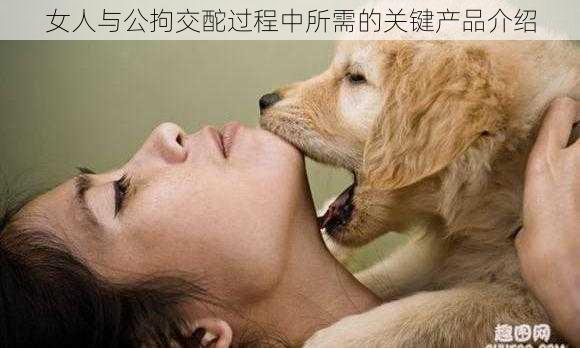 女人与公拘交酡过程中所需的关键产品介绍