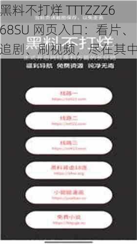 黑料不打烊 TTTZZZ668SU 网页入口:看片、追剧、刷视频,尽在其中
