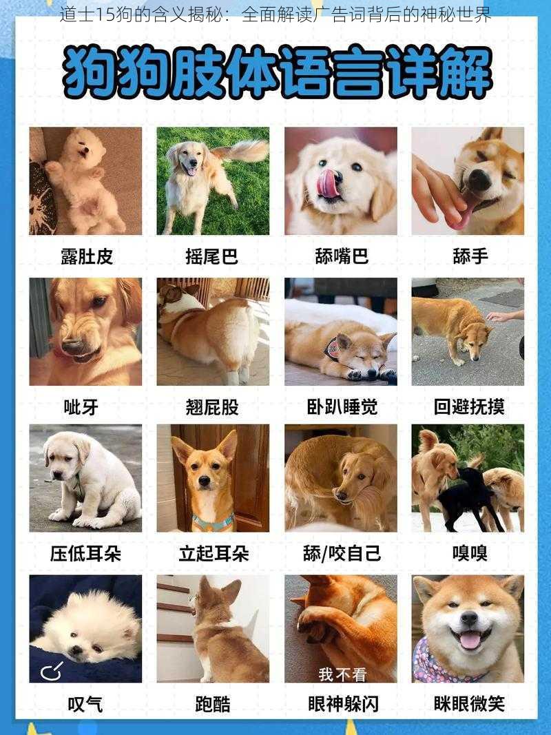 道士15狗的含义揭秘:全面解读广告词背后的神秘世界