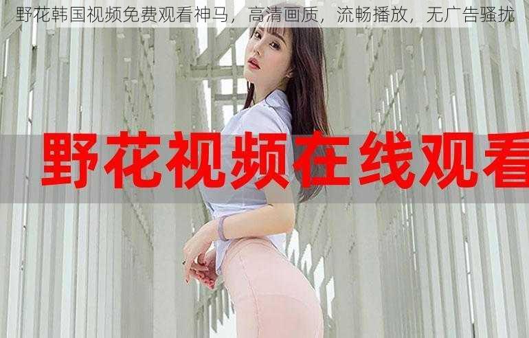 野花韩国视频免费观看神马,高清画质,流畅播放,无广告骚扰