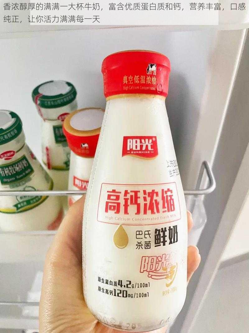 香浓醇厚的满满一大杯牛奶,富含优质蛋白质和钙,营养丰富,口感纯正,让你活力满满每一天