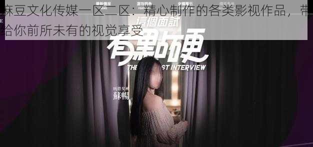 麻豆文化传媒一区二区:精心制作的各类影视作品,带给你前所未有的视觉享受