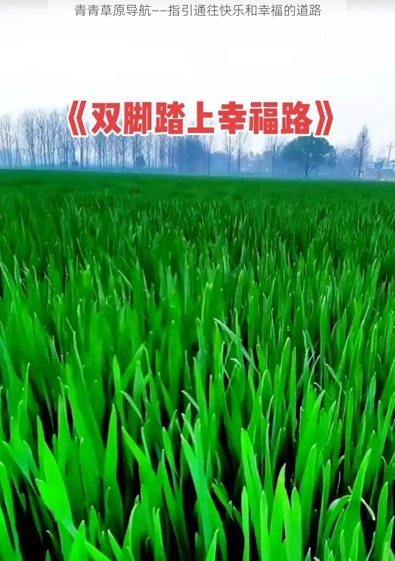 青青草原导航——指引通往快乐和幸福的道路