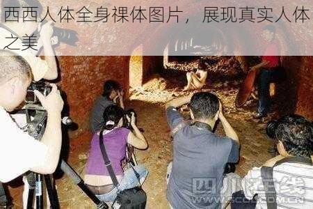 西西人体全身祼体图片,展现真实人体之美
