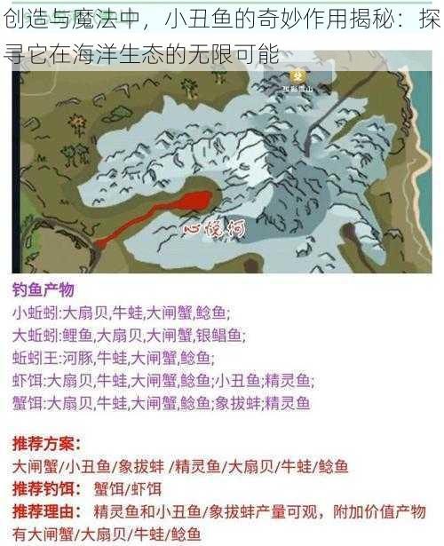 创造与魔法中,小丑鱼的奇妙作用揭秘:探寻它在海洋生态的无限可能