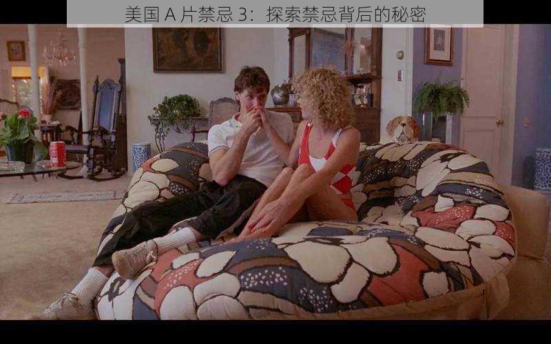 美国 A 片禁忌 3:探索禁忌背后的秘密