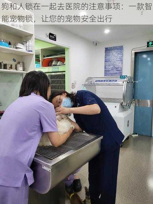 狗和人锁在一起去医院的注意事项:一款智能宠物锁,让您的宠物安全出行
