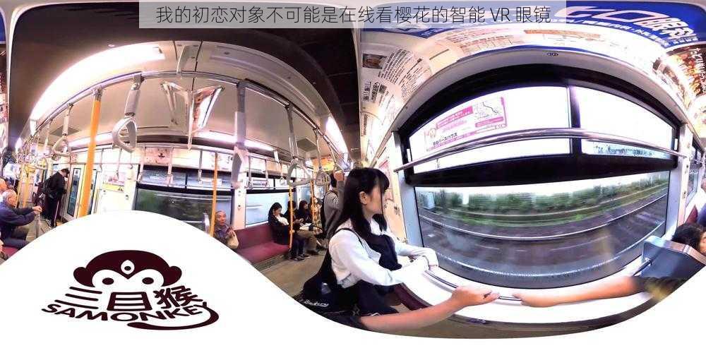 我的初恋对象不可能是在线看樱花的智能 VR 眼镜