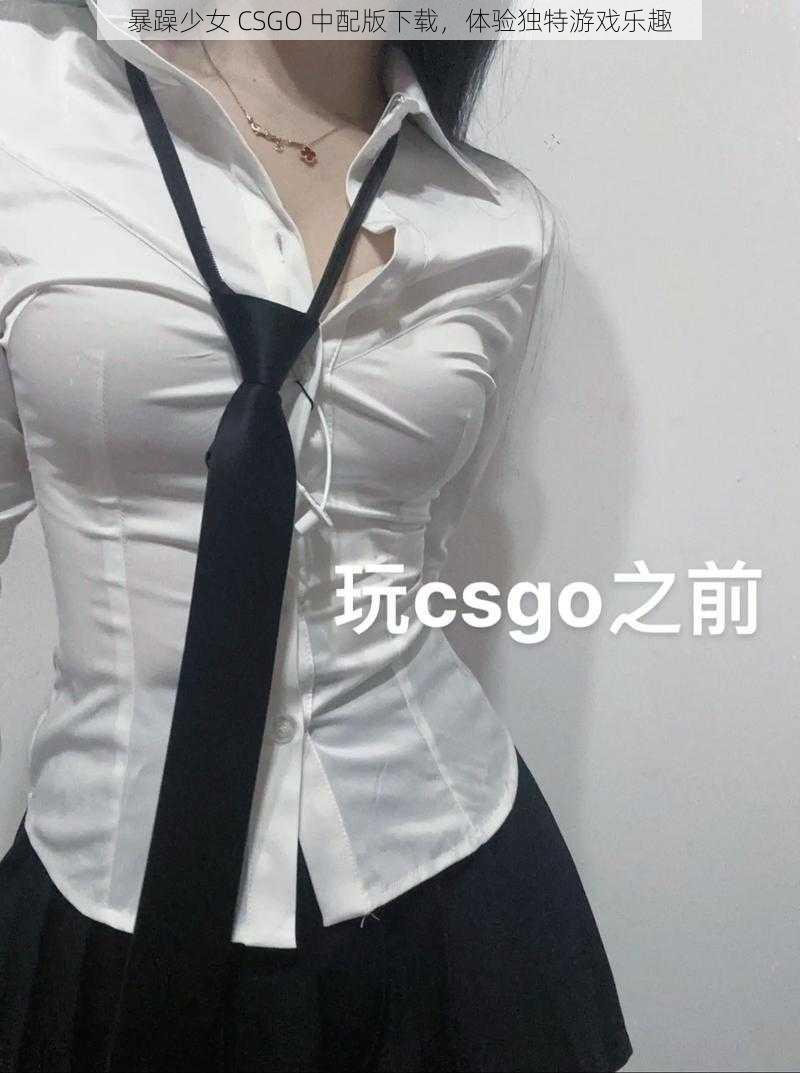 暴躁少女 CSGO 中配版下载,体验独特游戏乐趣