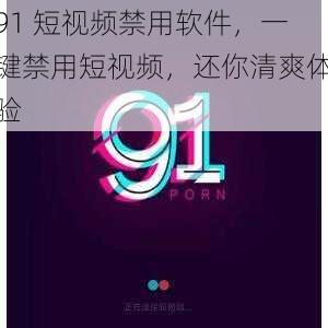 91 短视频禁用软件,一键禁用短视频,还你清爽体验