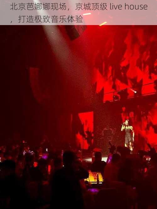 北京芭娜娜现场,京城顶级 live house,打造极致音乐体验