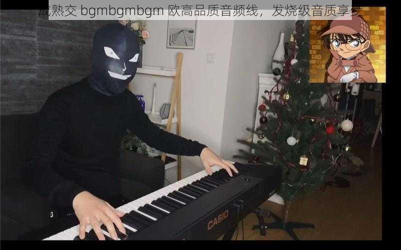 成熟交 bgmbgmbgm 欧高品质音频线,发烧级音质享受