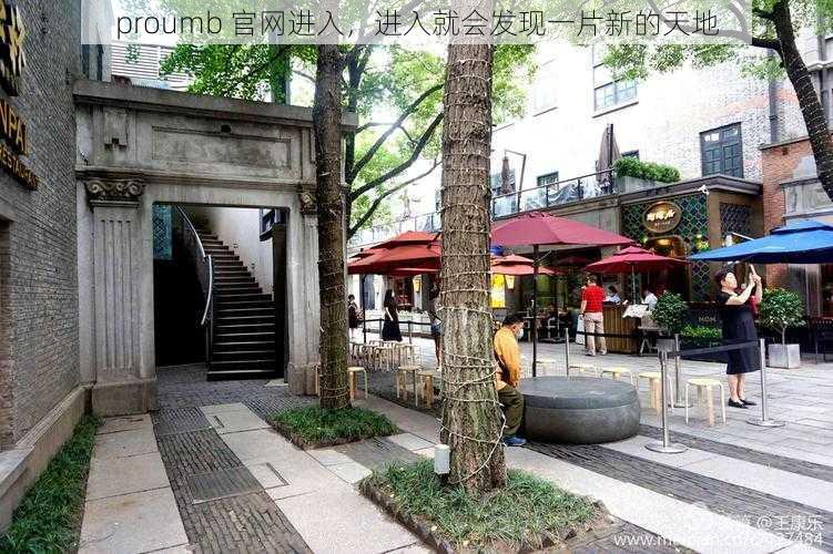 proumb 官网进入,进入就会发现一片新的天地