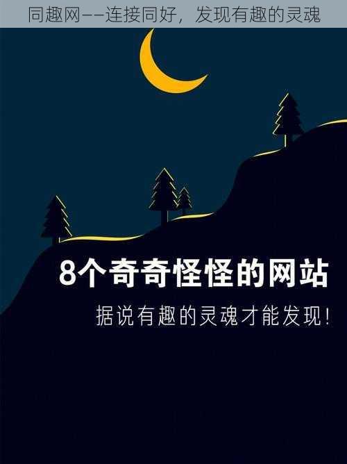 同趣网——连接同好,发现有趣的灵魂