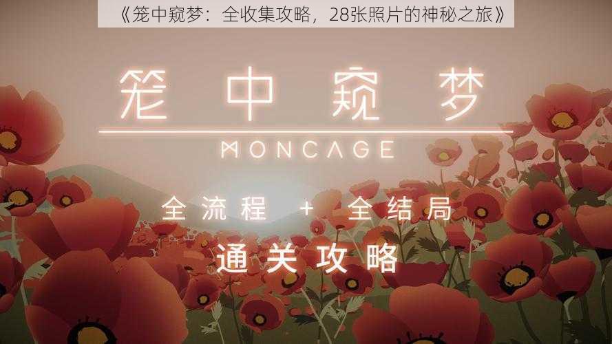 《笼中窥梦:全收集攻略,28张照片的神秘之旅》