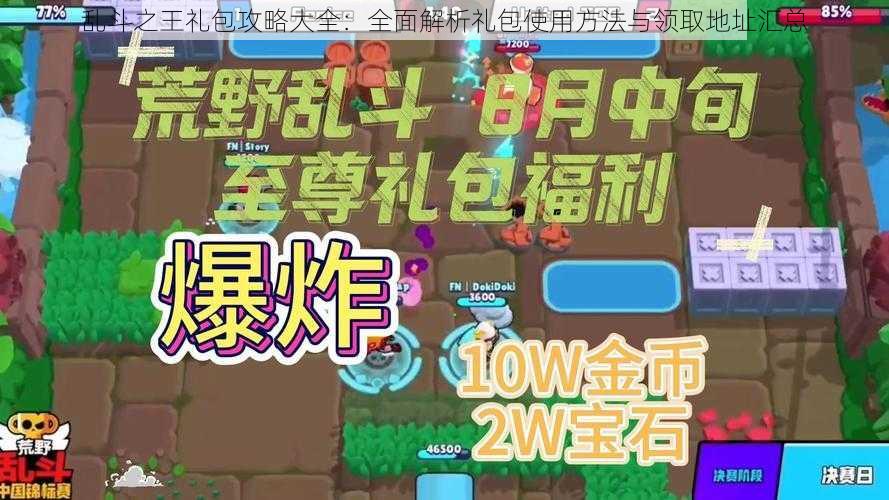 乱斗之王礼包攻略大全:全面解析礼包使用方法与领取地址汇总
