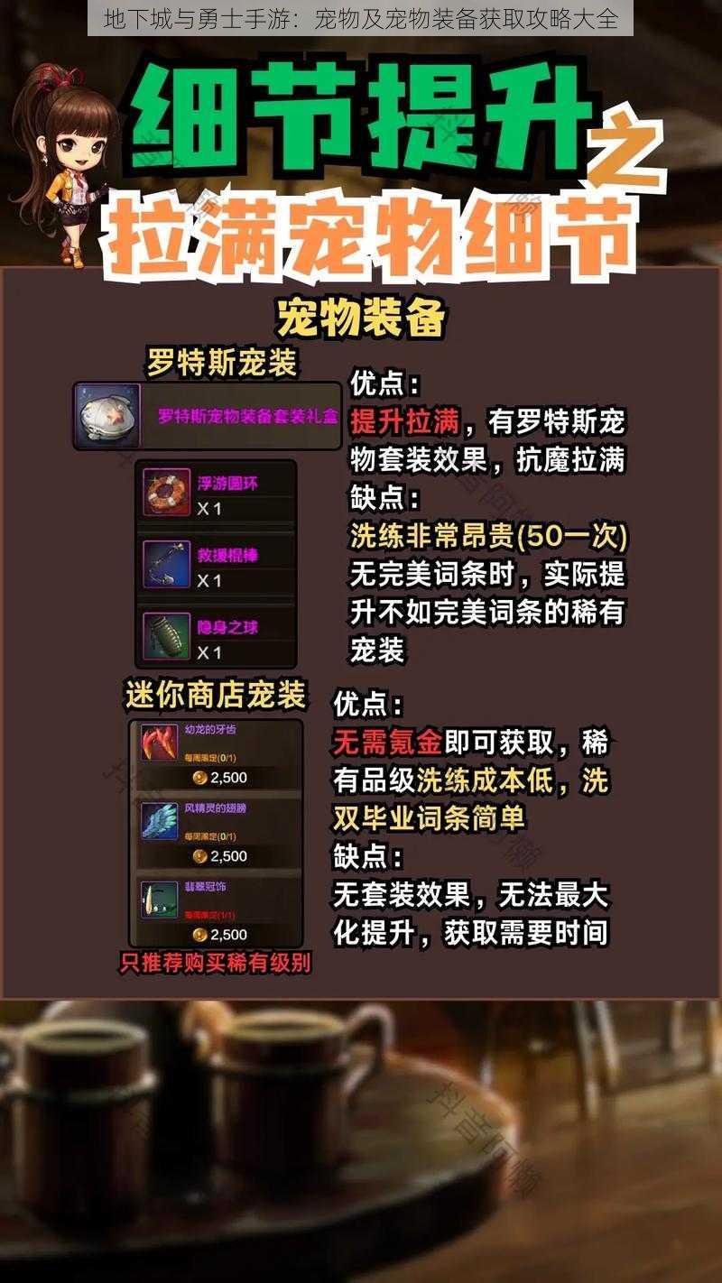 地下城与勇士手游:宠物及宠物装备获取攻略大全
