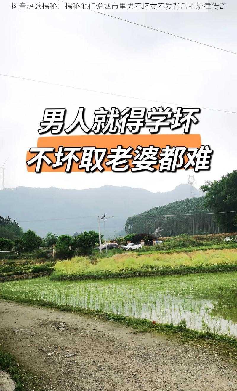 抖音热歌揭秘:揭秘他们说城市里男不坏女不爱背后的旋律传奇