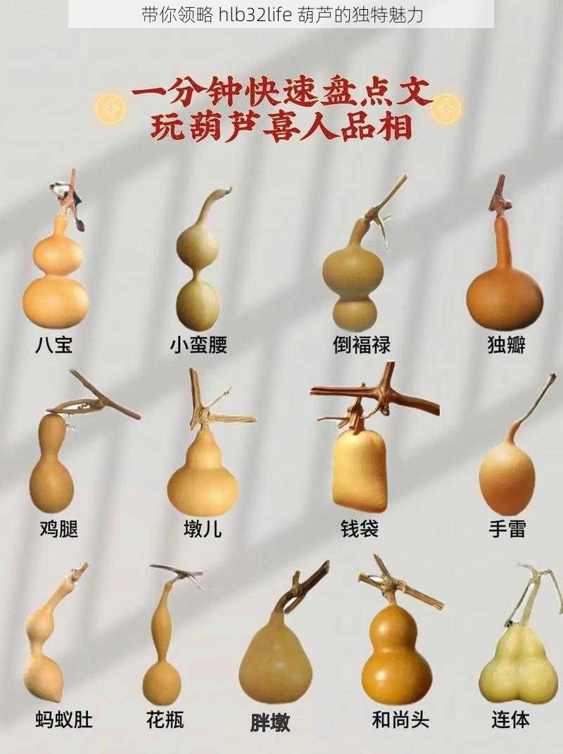 带你领略 hlb32life 葫芦的独特魅力
