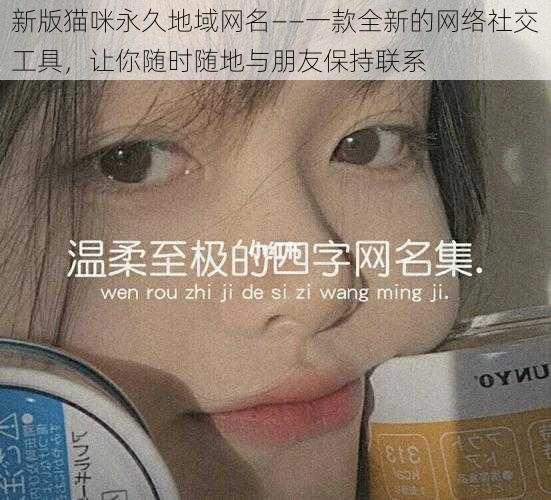 新版猫咪永久地域网名——一款全新的网络社交工具,让你随时随地与朋友保持联系