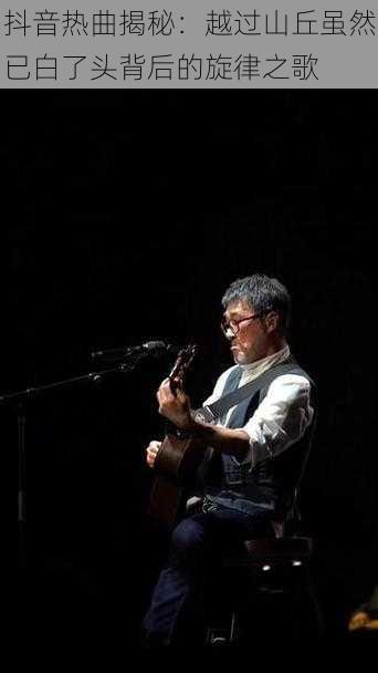 抖音热曲揭秘:越过山丘虽然已白了头背后的旋律之歌