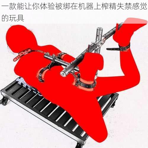 一款能让你体验被绑在机器上榨精失禁感觉的玩具