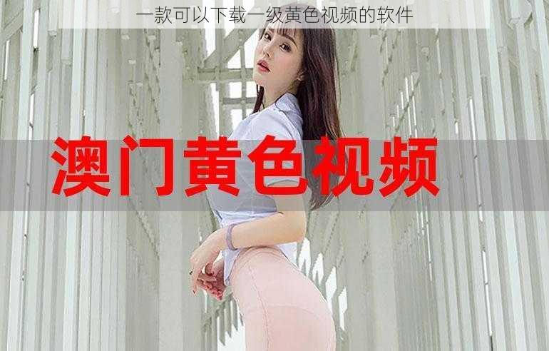 一款可以下载一级黄色视频的软件