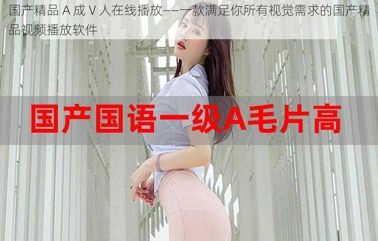 国产精品 A 成 V 人在线播放——一款满足你所有视觉需求的国产精品视频播放软件