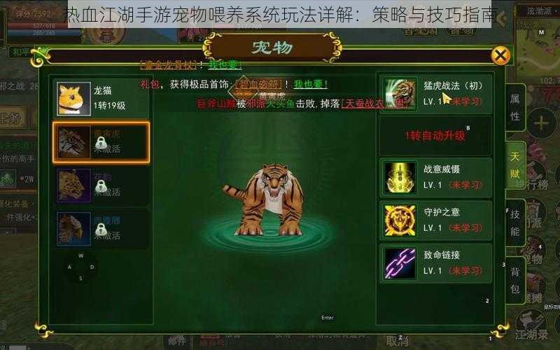 热血江湖手游宠物喂养系统玩法详解:策略与技巧指南