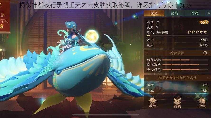 揭秘神都夜行录鲲垂天之云皮肤获取秘籍,详尽指南等你来探索