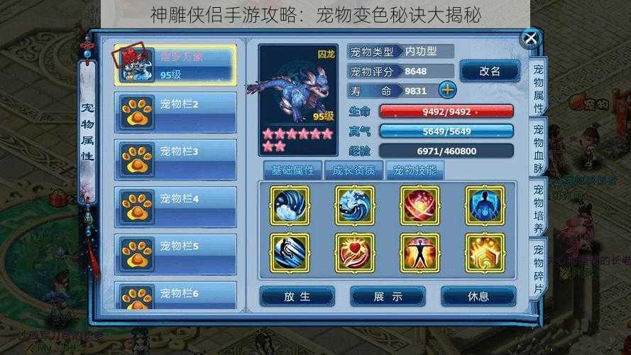 神雕侠侣手游攻略:宠物变色秘诀大揭秘
