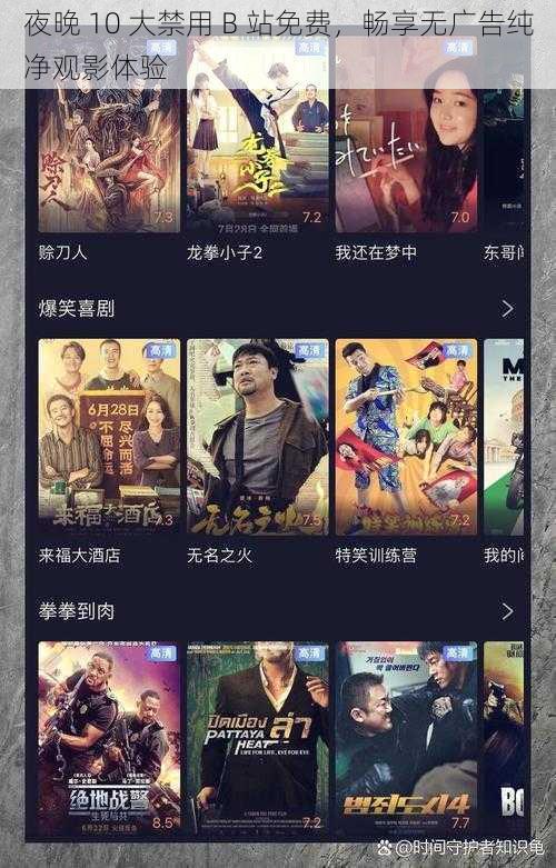 夜晚 10 大禁用 B 站免费,畅享无广告纯净观影体验