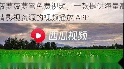 菠萝菠萝蜜免费视频,一款提供海量高清影视资源的视频播放 APP