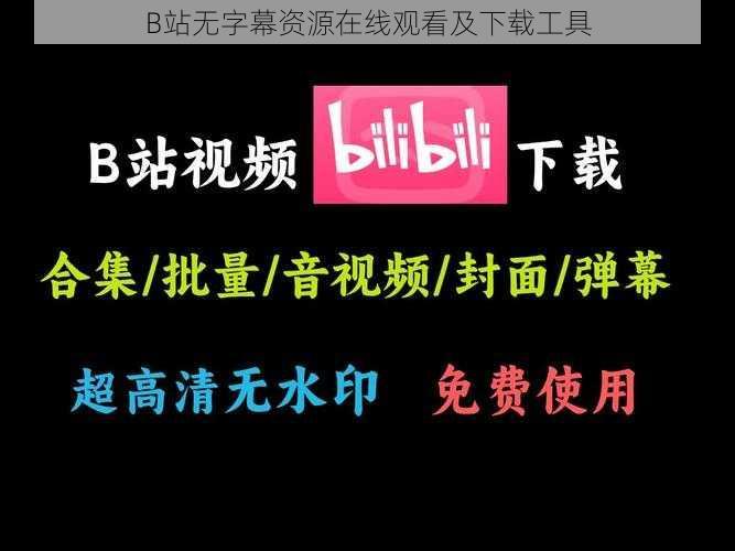 B站无字幕资源在线观看及下载工具