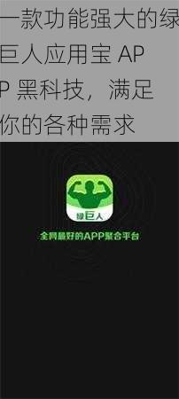 一款功能强大的绿巨人应用宝 APP 黑科技,满足你的各种需求
