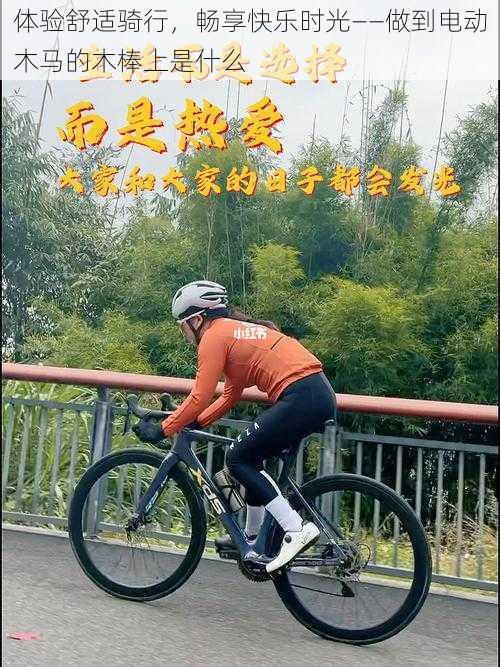 体验舒适骑行，畅享快乐时光——做到电动木马的木棒上是什么