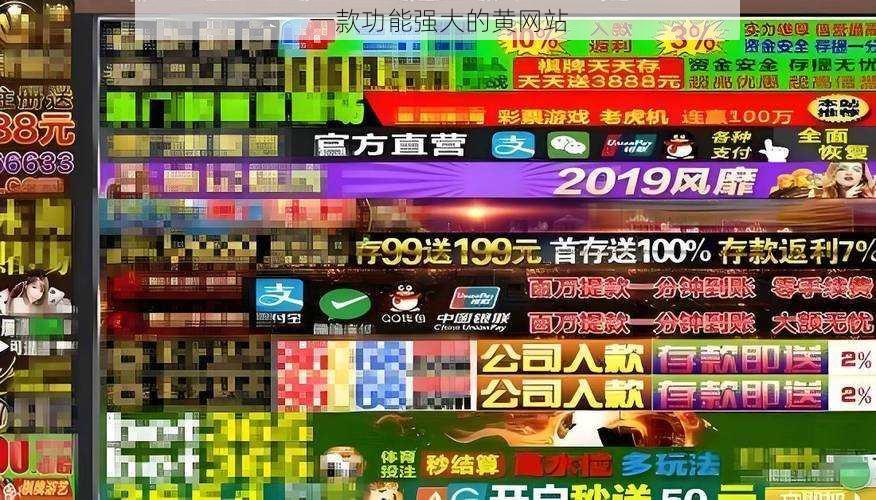 一款功能强大的黄网站