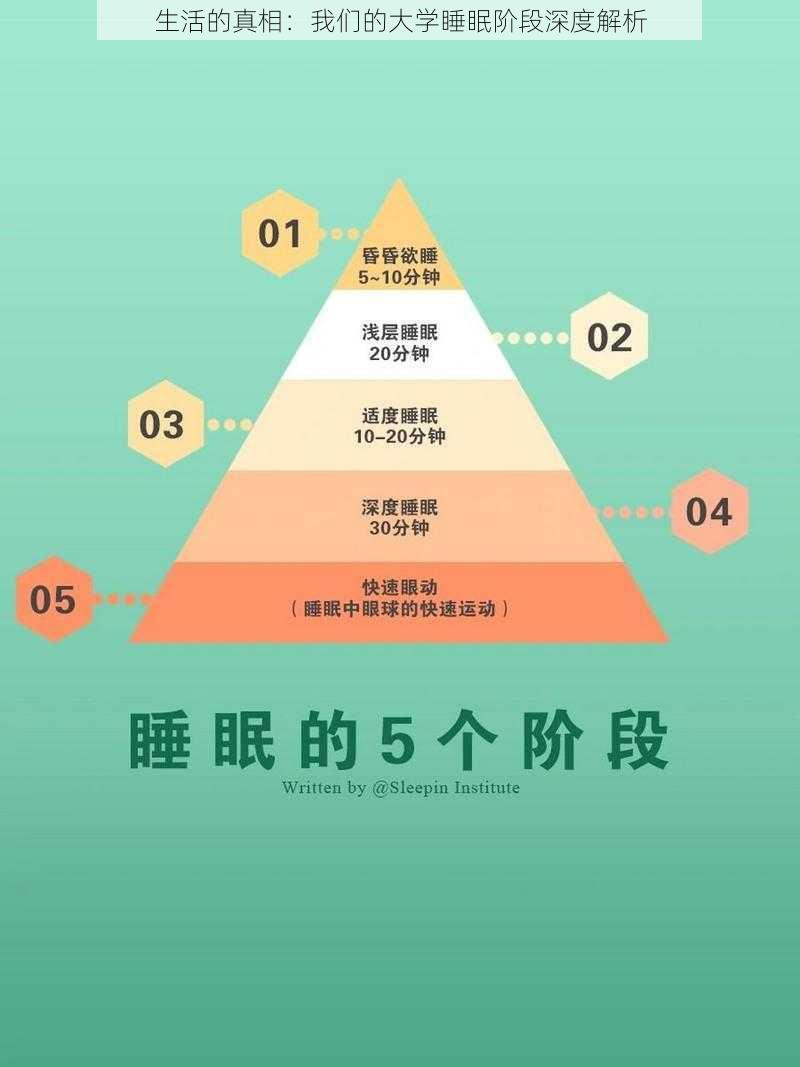 生活的真相:我们的大学睡眠阶段深度解析