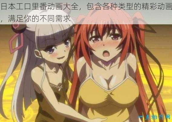 日本工口里番动画大全,包含各种类型的精彩动画,满足你的不同需求