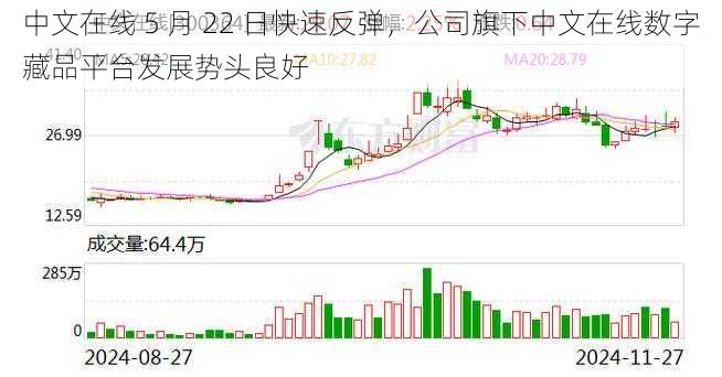 中文在线 5 月 22 日快速反弹,公司旗下中文在线数字藏品平台发展势头良好