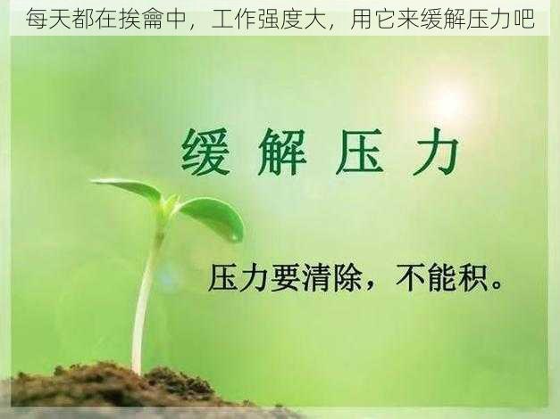 每天都在挨龠中,工作强度大,用它来缓解压力吧