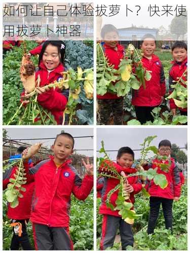 如何让自己体验拔萝卜?快来使用拔萝卜神器