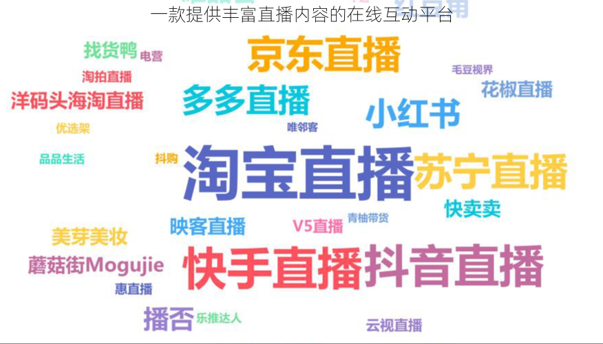 一款提供丰富直播内容的在线互动平台