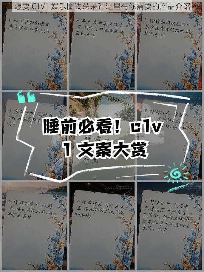 想要 C1V1 娱乐圈钱朵朵?这里有你需要的产品介绍