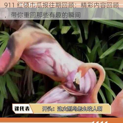 911 红领巾瓜报往期回顾:精彩内容回顾,带你重回那些有趣的瞬间